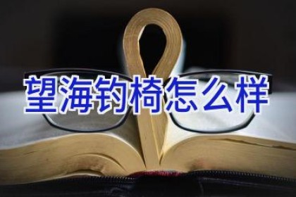望海钓椅怎么样