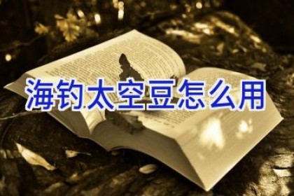 海钓太空豆怎么用