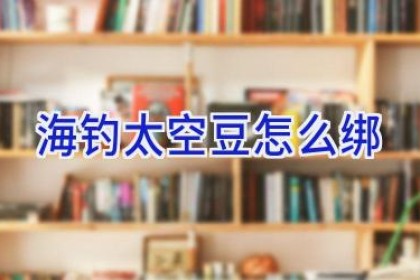 海钓太空豆怎么绑