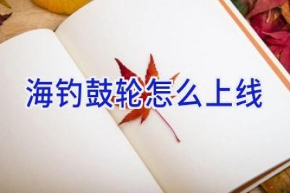 海钓鼓轮怎么上线