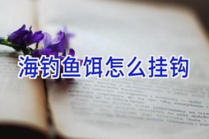 海钓鱼饵怎么挂钩