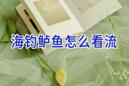海钓鲈鱼怎么看流