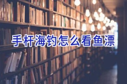 手杆海钓怎么看鱼漂