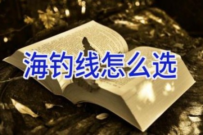 海钓线怎么选