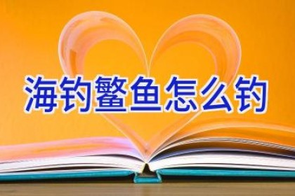 海钓鳘鱼怎么钓