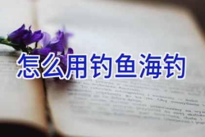 怎么用钓鱼海钓