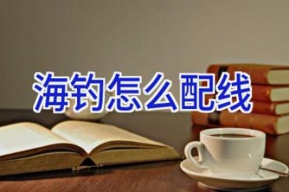 海钓怎么配线