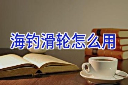 海钓滑轮怎么用