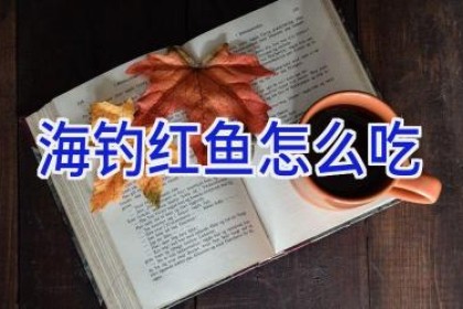 海钓红鱼怎么吃