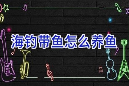 海钓带鱼怎么养鱼