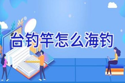 台钓竿怎么海钓