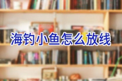 海钓小鱼怎么放线
