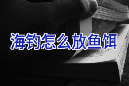 海钓怎么放鱼饵