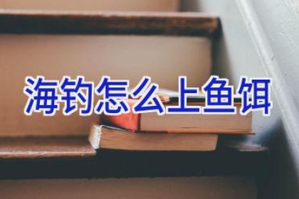 海钓怎么上鱼饵