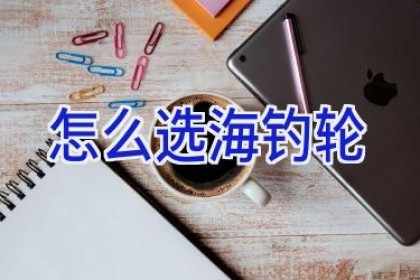 怎么选海钓轮