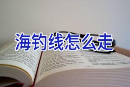 海钓线怎么走