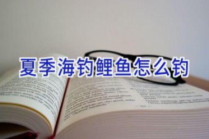 夏季海钓鲤鱼怎么钓