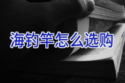 海钓竿怎么选购