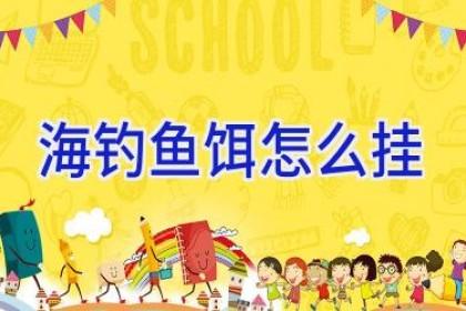 海钓鱼饵怎么挂