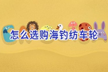 怎么选购海钓纺车轮