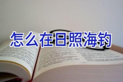 怎么在日照海钓