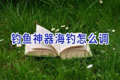 钓鱼神器海钓怎么调