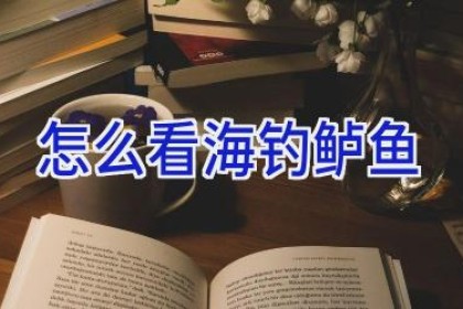 怎么看海钓鲈鱼