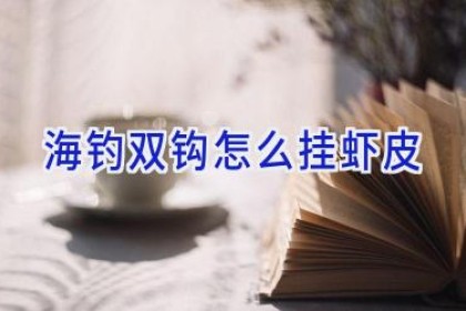 海钓双钩怎么挂虾皮