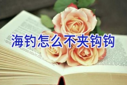 海钓怎么不夹钩钩