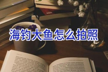 海钓大鱼怎么拍照