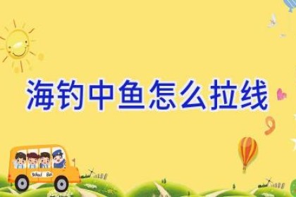 海钓中鱼怎么拉线