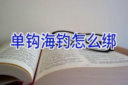 单钩海钓怎么绑