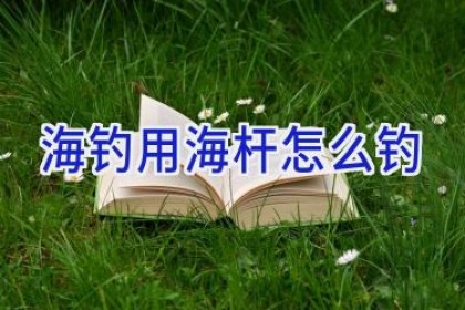 海钓用海杆怎么钓