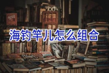 海钓竿儿怎么组合