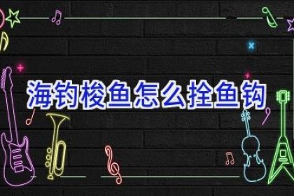 海钓梭鱼怎么拴鱼钩