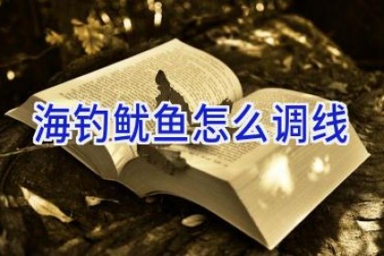 海钓鱿鱼怎么调线