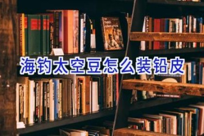 海钓太空豆怎么装铅皮