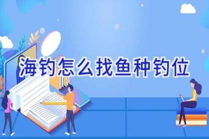 海钓怎么找鱼种钓位