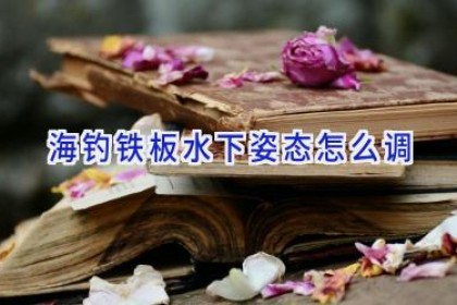 海钓铁板水下姿态怎么调