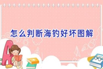 怎么判断海钓好坏图解