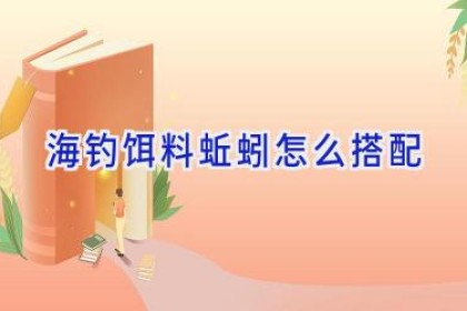 海钓饵料 蚯蚓怎么搭配