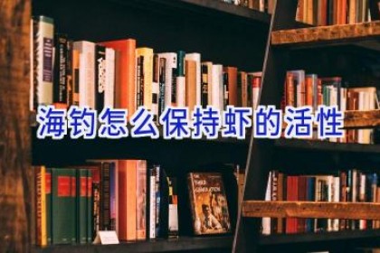 海钓怎么保持虾的活性