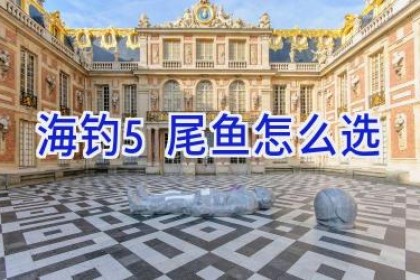 海钓5尾鱼怎么选
