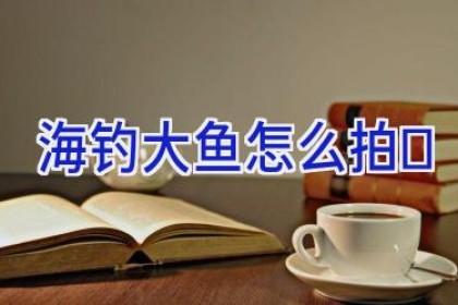 海钓大鱼怎么拍