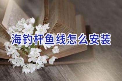 海钓杆鱼线怎么安装