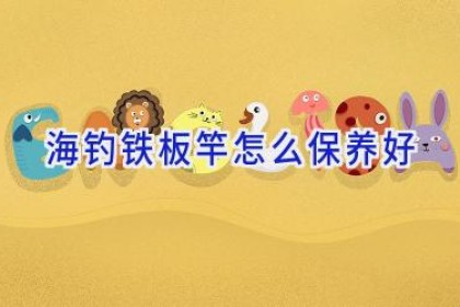 海钓铁板竿怎么保养好