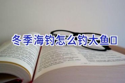 冬季海钓怎么钓大鱼