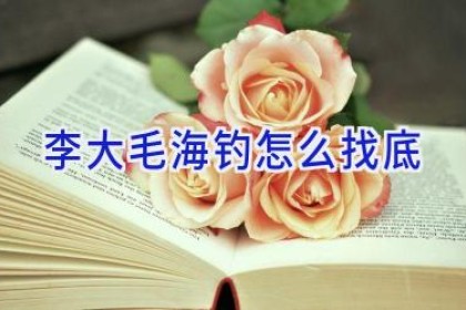 李大毛海钓怎么找底
