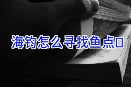 海钓怎么寻找鱼点
