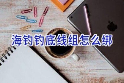 海钓钓底线组怎么绑